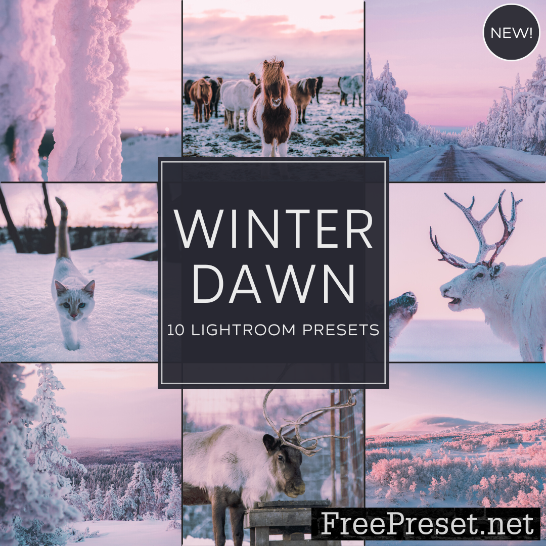 Woodland - Winter Dawn Lightroom Presets Pack