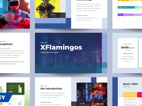 XFLAMINGOS - Creative Agency Presentation 001