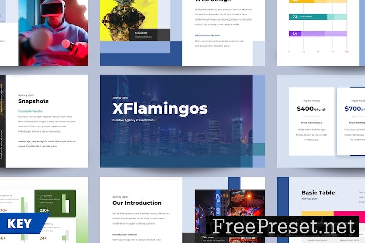 XFLAMINGOS - Creative Agency Presentation 001