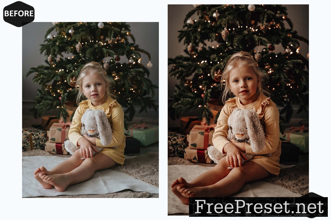 10 Gingerbread Xmas Lightroom Presets