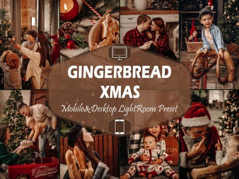 10 Gingerbread Xmas Lightroom Presets