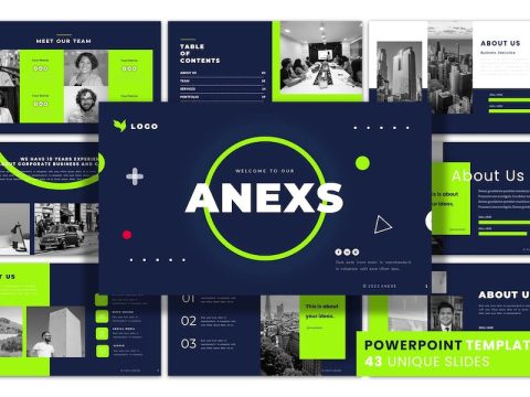 Anex Slides - PowerPoint Presentation Template