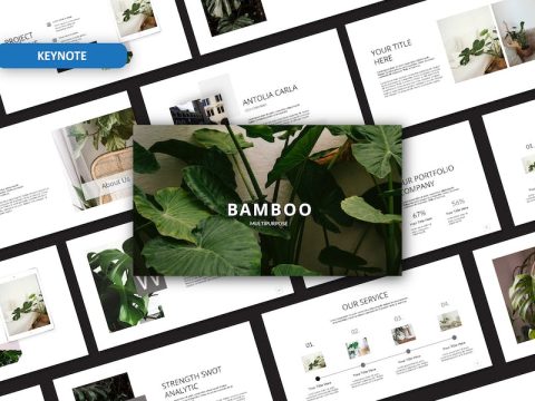 Bamboo Keynote Template