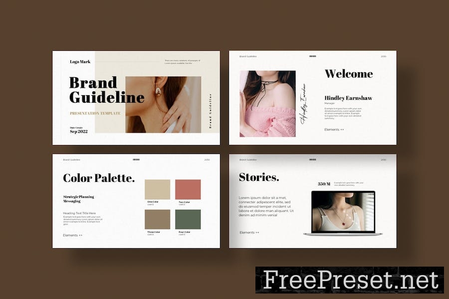 Brand Guideline Presentation template TXQZNWM