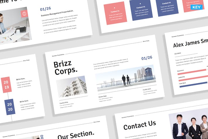 Brizz-Business Marketing Presentation 023