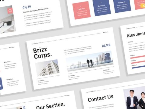 Brizz-Business Marketing Presentation 023