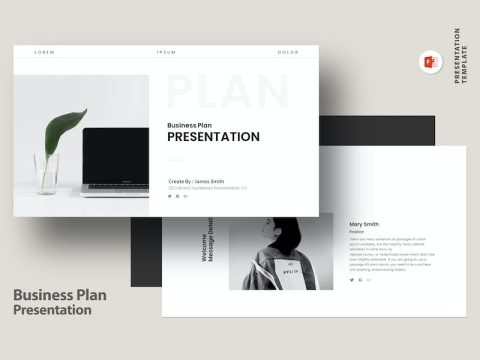 Business Plan Presentation