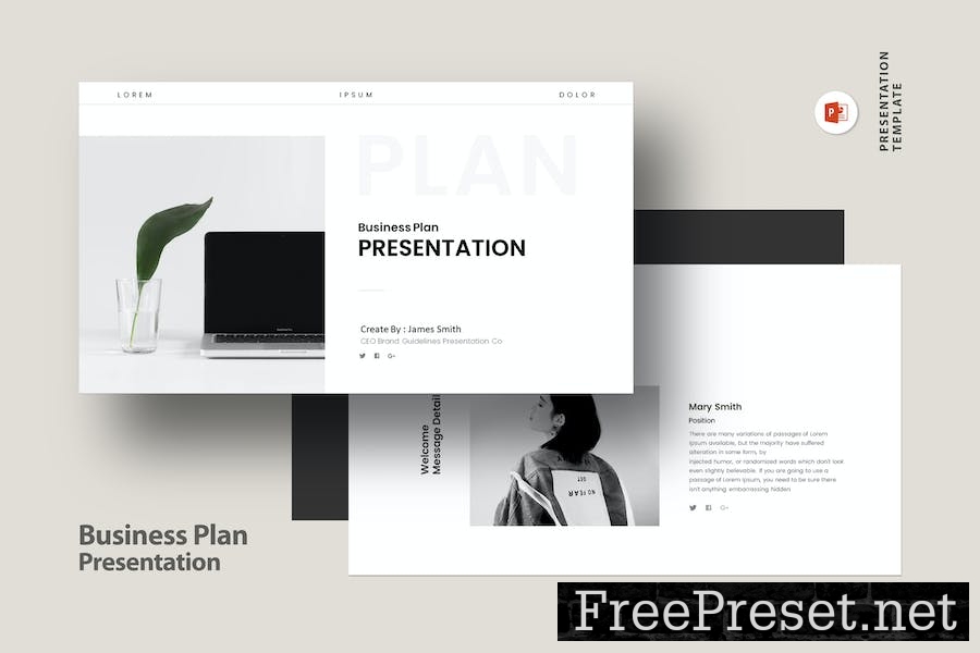 Business Plan Presentation