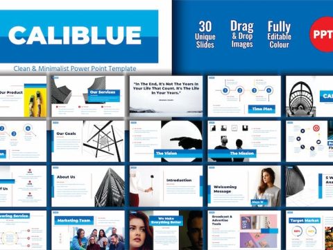 CALIBLUE Digital Business Profile PPT Template 002 RUZMKJT