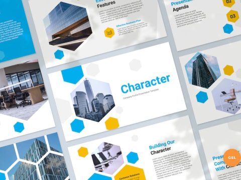 Company Profile Slides Presentation Template QSGRXAL