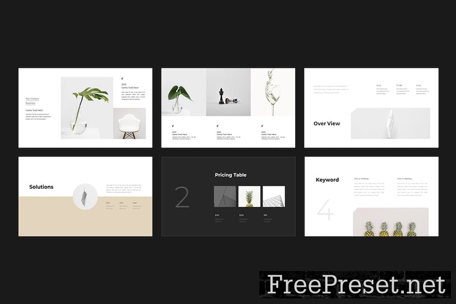 Digital Presentation Template ZPHCNAV