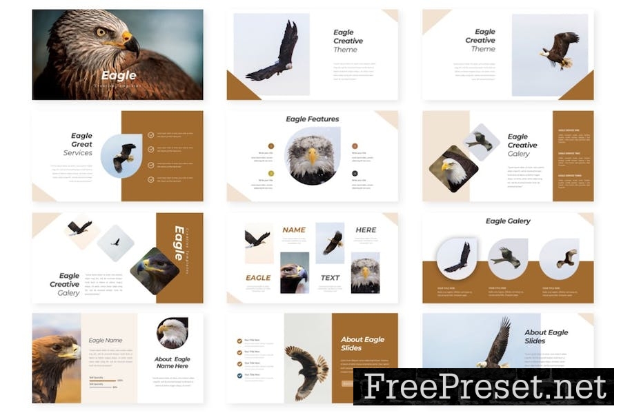 Eagle Creative Powerpoint JKSG29Z