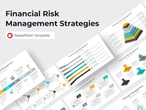 Financial Risk Management Strategies Powerpoint R6TP28E