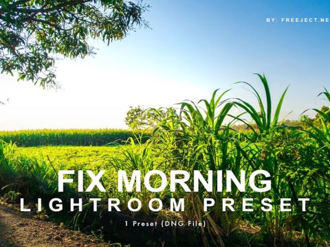 Fix Morning - Lightroom Preset