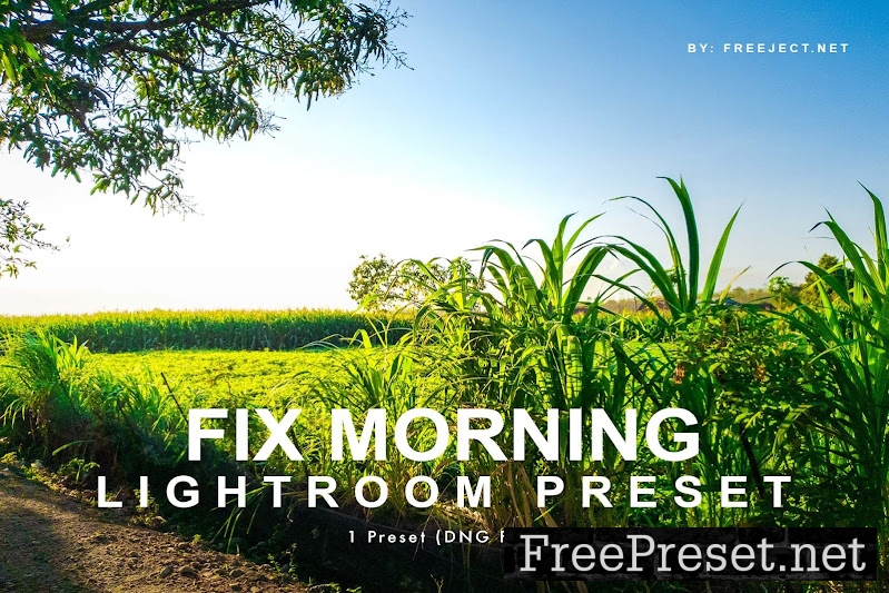 Fix Morning - Lightroom Preset