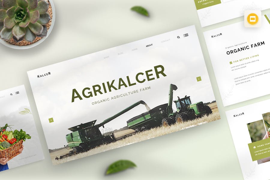 Kalcer - Organic Agriculture Farm Google Slides 87ASKPN