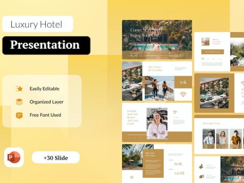 Luxury Hotel Powerpoint Presentation BDLHTU6