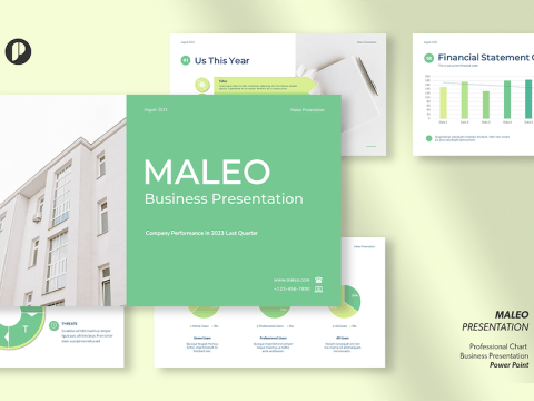 Maleo – professional chart business presentation 5PHC34T