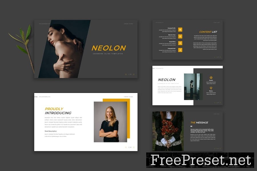 Neolon - Powerpoint Template HP4PCAE