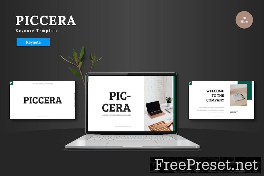 Piccera - Keynote Template