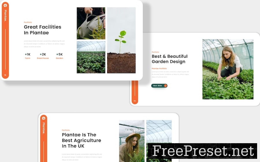 Plantae - Agriculture Google Slides Template