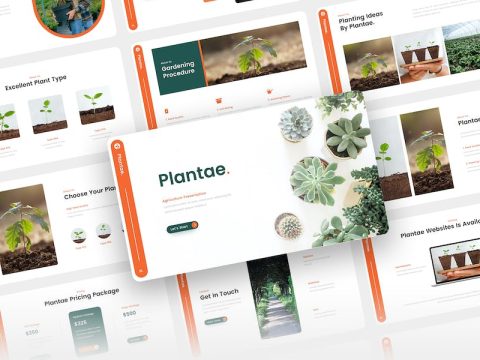 Plantae - Agriculture Keynote Template