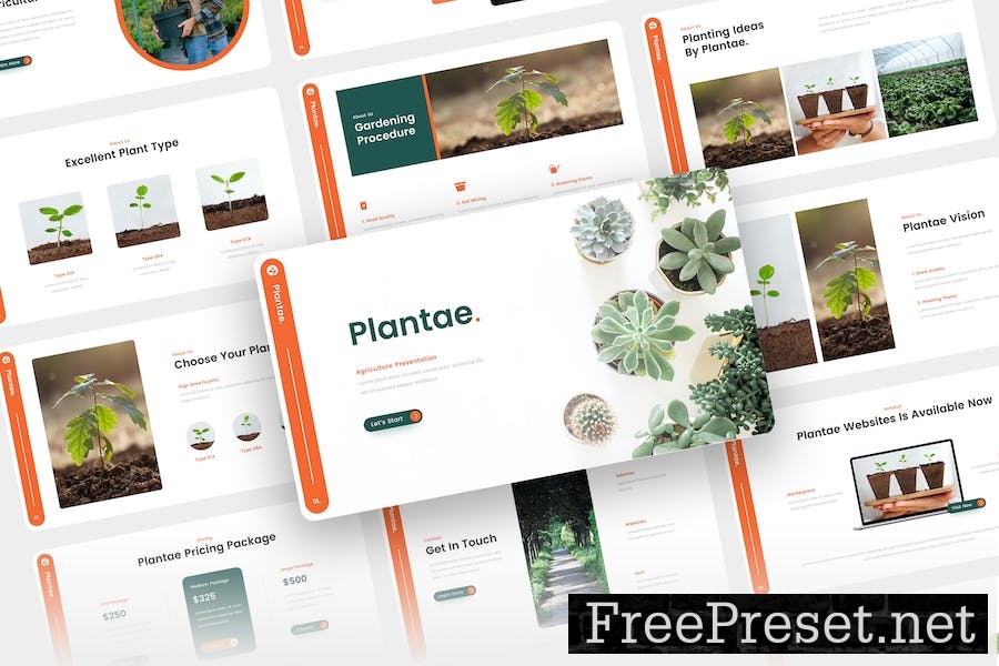 Plantae - Agriculture Keynote Template