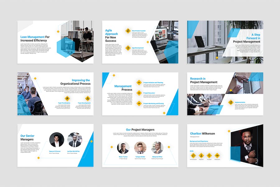 Project Management PowerPoint Template AARCMPE