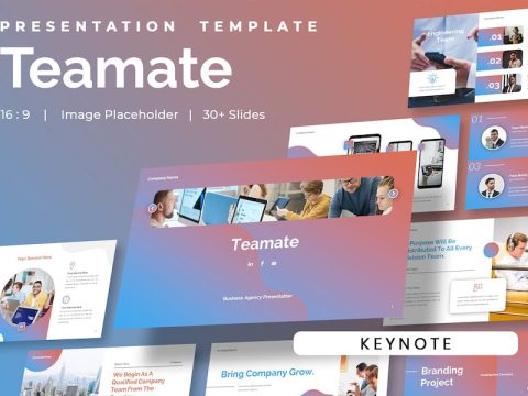 Teamate - Business Agency Company Keynote EHUYNK7