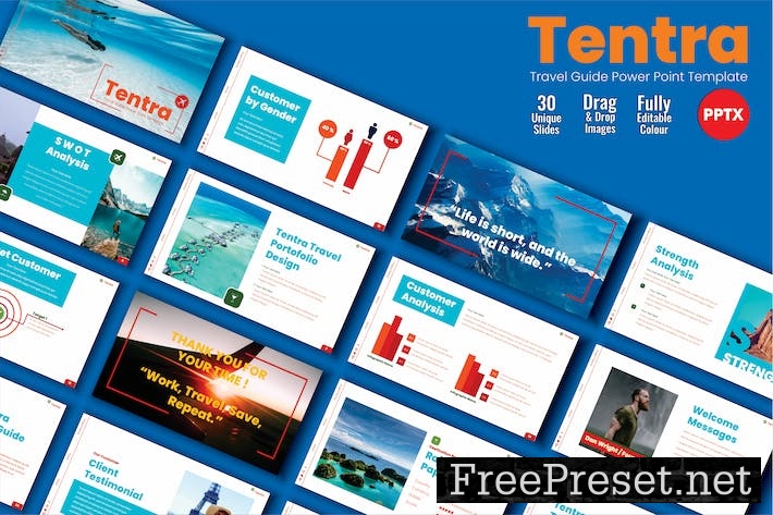 TENTRA Digital Traveling Profile PPT Templates 002 ULYVDWQ