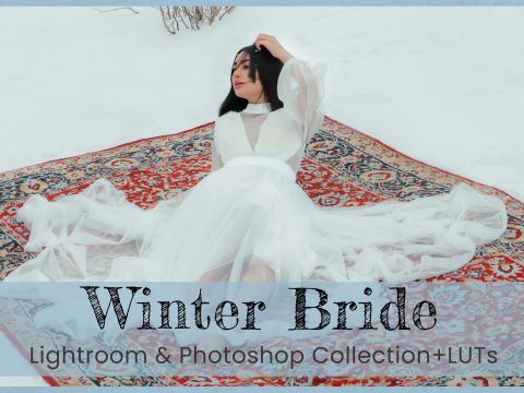 Winter Bride Photo & Video Presets 10965810