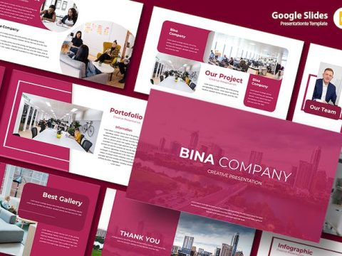 Bina Company - Google Slides