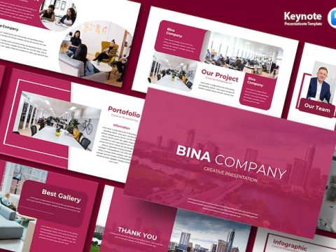 Bina Company - Keynote Template