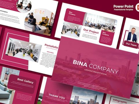 Bina Company - PowerPoint Template