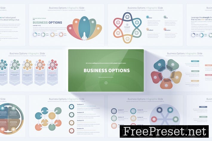 Business Options - PowerPoint Infographics Slides