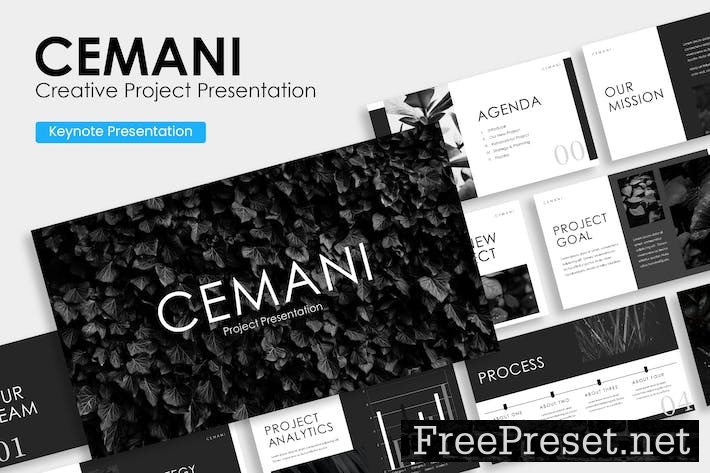 CEMANI - Creative Project Presentation Template