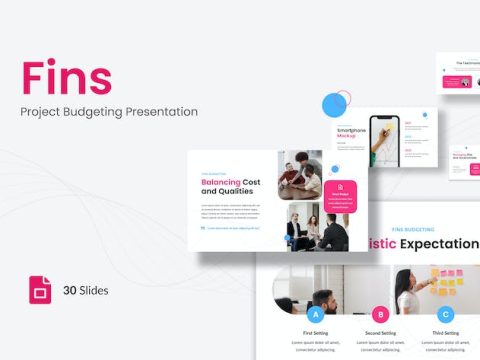 Fins - Project Budgeting Presentation Google Slide Y74PAKS