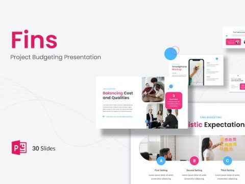 Fins - Project Budgeting Presentation PowerPoint