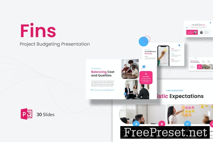 Fins - Project Budgeting Presentation PowerPoint