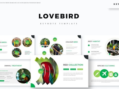 Love Bird - Keynote Template VRUZBGX