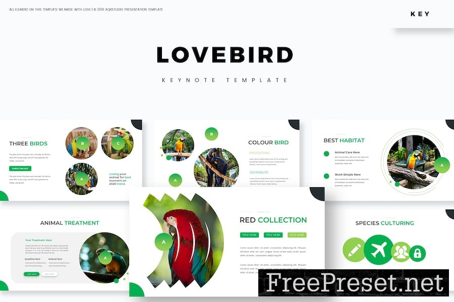 Love Bird - Keynote Template VRUZBGX