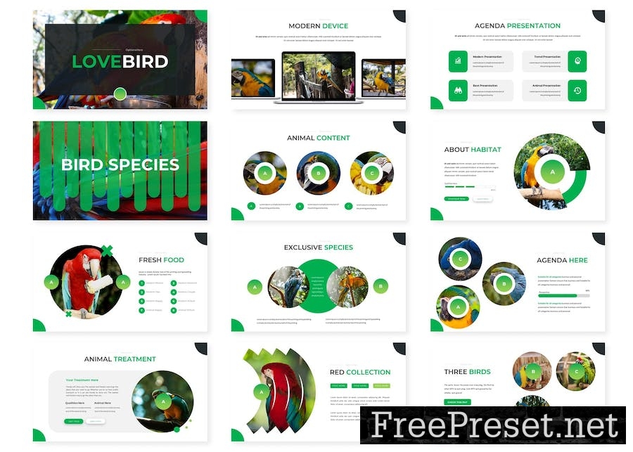 Love Bird - Powerpoint Template R2XX99H