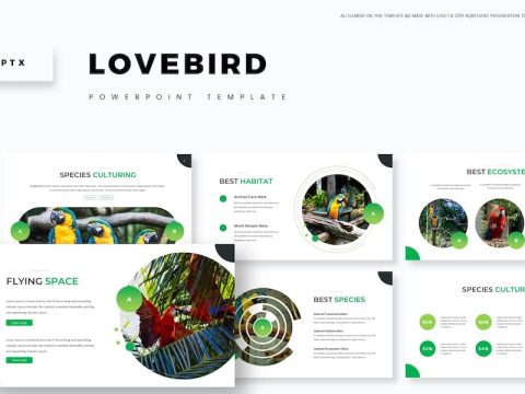 Love Bird - Powerpoint Template R2XX99H