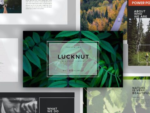 Lucknut PowerPoint Presentation