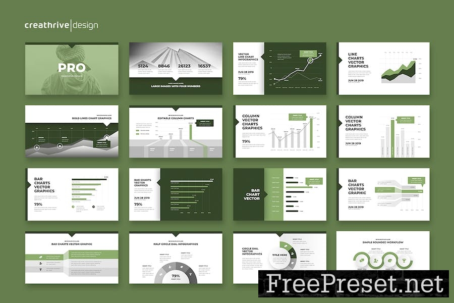 Pro PowerPoint Template DCYFMRH