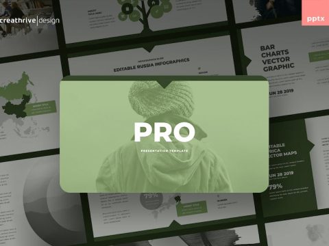 Pro PowerPoint Template DCYFMRH