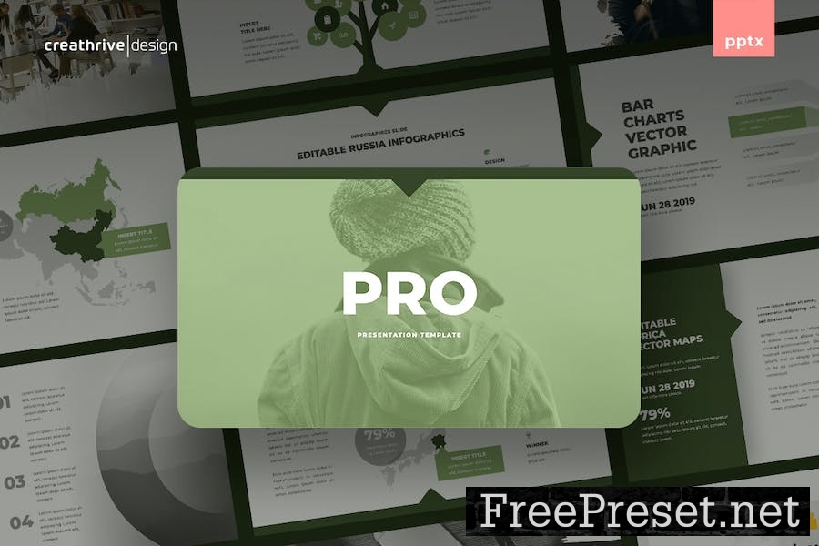 Pro PowerPoint Template DCYFMRH