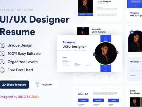 Resume UX UI Designer Presentation Template