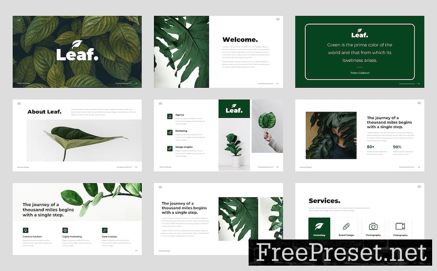 Leaf - Minimal Green Business Keynote Template