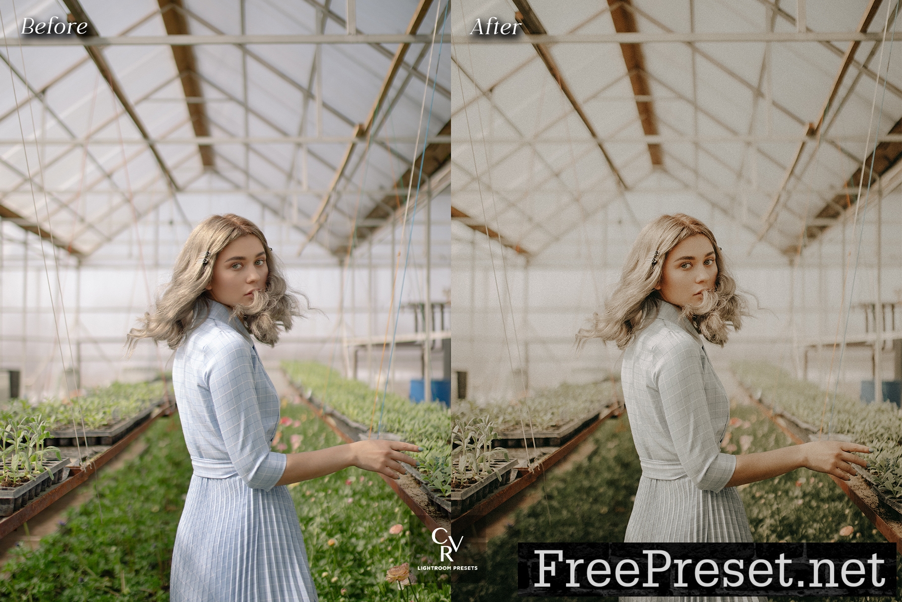 10 Grainy Film Lightroom Presets